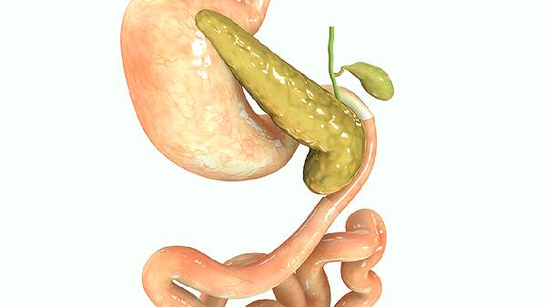 大蒜的成效与效果 这5种食物不能一同食用